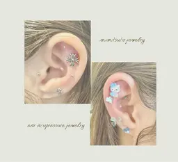 💎耳つぼジュエリー12粒