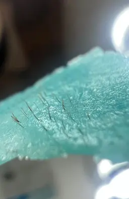 【産毛&角質ケア🌱】艶肌×フェイシャル脱毛WAX(全顔)