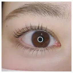 【研修モデル】4/14​〜​4/19   10時から限定まつ毛パーマ（上のみ）