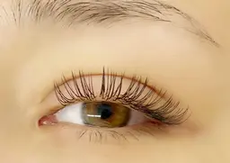 【オフ込】🦋フラットラッシュ160本🦋