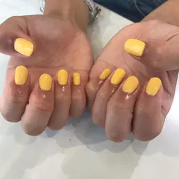 【ご新規様オフ無料】✨ワンカラー✨