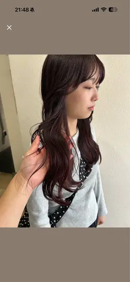 イルミナカラー