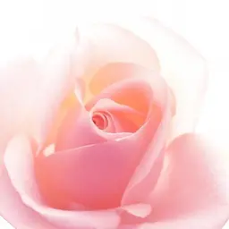 【ご新規様もリピーター様も】VIOオールオフ💗ブラジリアンワックス・女性