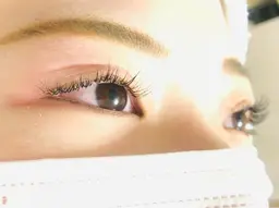 最高級セーブル120本　限定