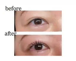 まつげパーマ🫧上のみ