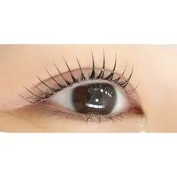 【新規限定】パリジェンヌラッシュリフト💋