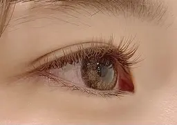 初回オフ無料◆撮影モデル様◆オールカラーフラットラッシュ100本🌟 ̖́-