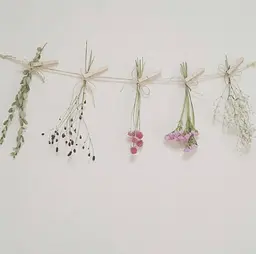 minimo初回限定価格♡オフのみ