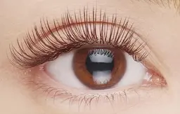 【ご新規様】3カラーから選べる🌾ブラウンフラットラッシュ100本🌾¥7400→¥5200