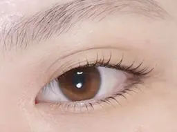 まつげパーマ上下