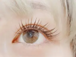 超軽量フラットラッシュ 100本