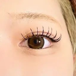 フラットラッシュ 付け放題