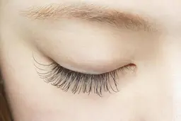 フラットラッシュ《80本🕊》