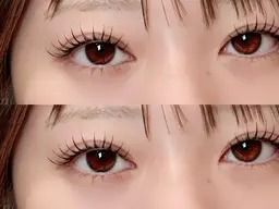 【オフ込み】 フラットラッシュ 80本