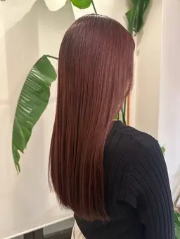 ファッションカラーモデル