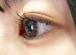 毛先まで黒艶ブラックティントトリートメントまつ毛パーマ/アイシャンプー、コーティング付き