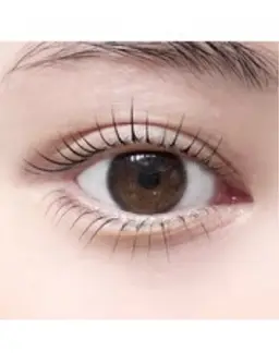 【上下】ケラチンラッシュリフト➕高濃度トリートメント🌺