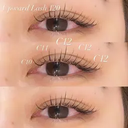 【持ち最強❤️🔥】バインドロック120本(60束)/オフ・美容液コーティング付