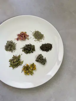 【温活】よもぎ蒸し×ハーブリーディング