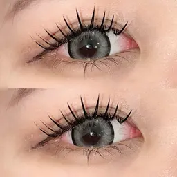 バインドロック80束 ¥6,950