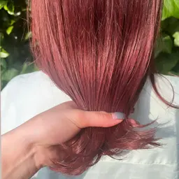 🌷4月22日限定🌷全体カラー