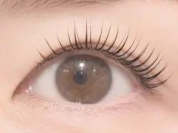 ☆当日限定☆極柔フラットラッシュ100本