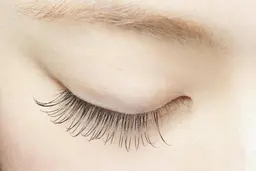 フラットラッシュ《100本🌺 》