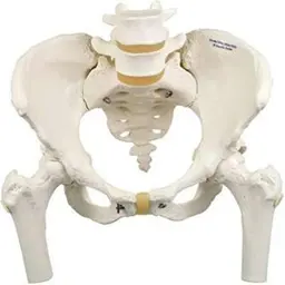 まずは土台から改善❢身体の歪み改善、太ももの張り改善と小尻になります🩶骨盤矯正ケアストレッチ 30分☺