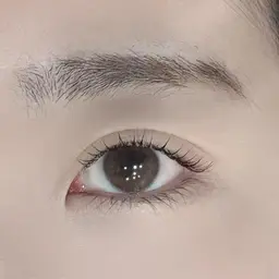 まつげパーマラッシュリフト 上 (C / D / U カール対応)