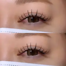 期間限定価格🌟【バインドロック80束】自然な濃さ×もちの良さ🌿