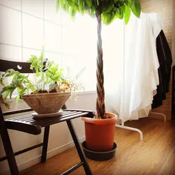 (平日限定)髪質改善メテオトリートメント&シャンプーブロー