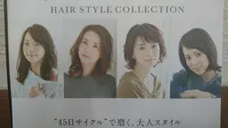 新規様リタッチグレイヘアカラー