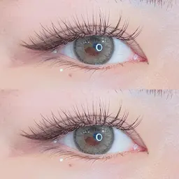 【ミニモ限定価格】🥀セーブル100本🥀