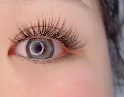 【モデル価格】LEDボリュームラッシュ120束+下まつげ30本