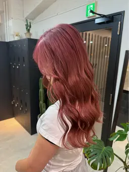 ✴︎4月限定✴︎ダブルカラー🥣🩷✨