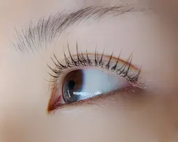 ❤️選べる❤️ラッシュリフト、パリジェンヌ 美容コーティング仕上げ