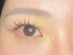 美眉Waxデザイン