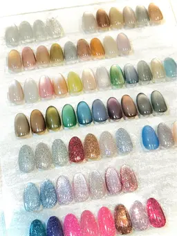 【オフ込】マグネット&ミラーネイル