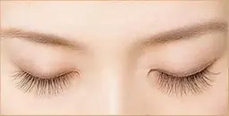 🌷ハリウッドブロウリフト🌷