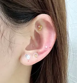 耳つぼジュエリー　両耳合計10粒　standard plan