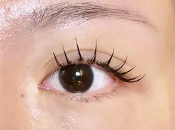 フラットラッシュ《100本》Wコーティング付き🪽✨