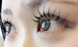 バインドフラット80束※コーティング付き