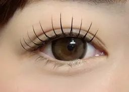 ウルトラソフトグードラッシュ　特殊加工毛質！　100本