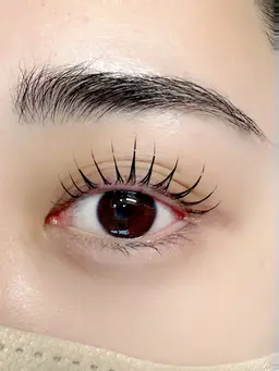 大人気パリエク✨👀バインドロック×パリジェンヌ《40束​〜​80束》