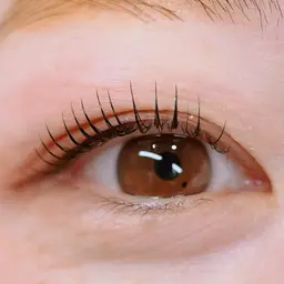 【平日・土曜日のみ】【mistでのご案内】🌀まつ毛パーマモデル🌀⚠️現金のみ