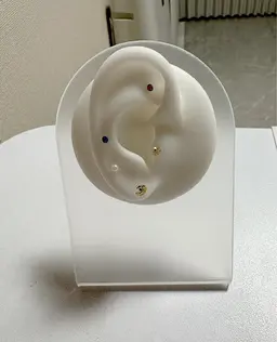 ✨耳つぼジュエリー✨片耳5個ずつ10個までジュエリーをつけれます！