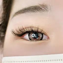 【初回オフ無料】ボリュームラッシュ80束（LED＋¥550）