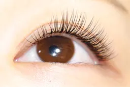 ⭐️期間限定⭐️フラットラッシュ 《ナチュラル》 100本まで