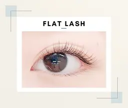 4月21日（火）16時限定　フラットラッシュ　100本