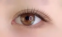 【120本】🍀セーブル5190🍀フラット5590